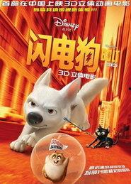 闪电狗在线观看  第1张